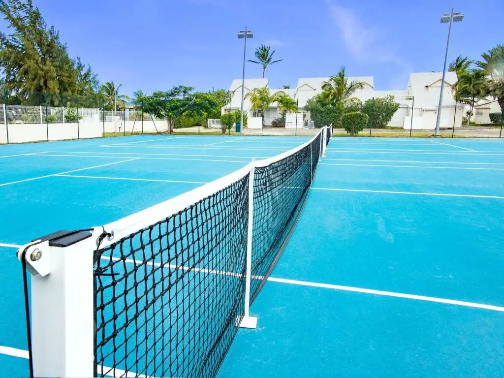 img_id_1496011.webp