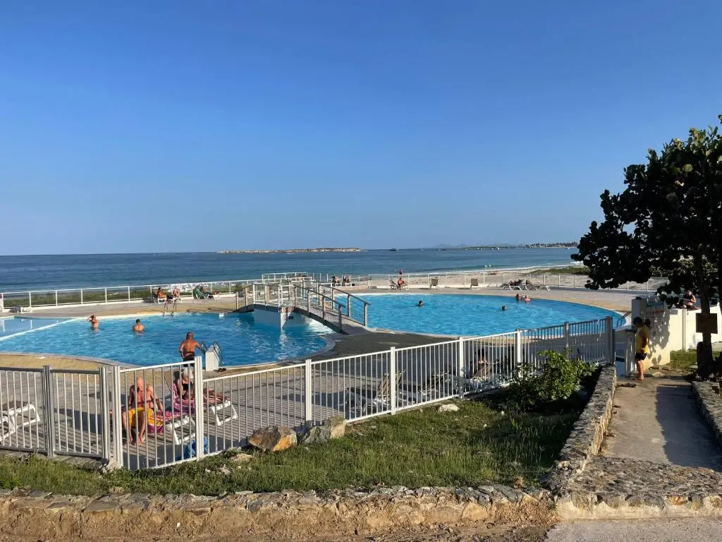 img_id_1496847.webp