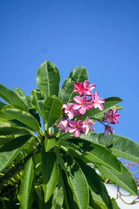 img_id_1497261.webp