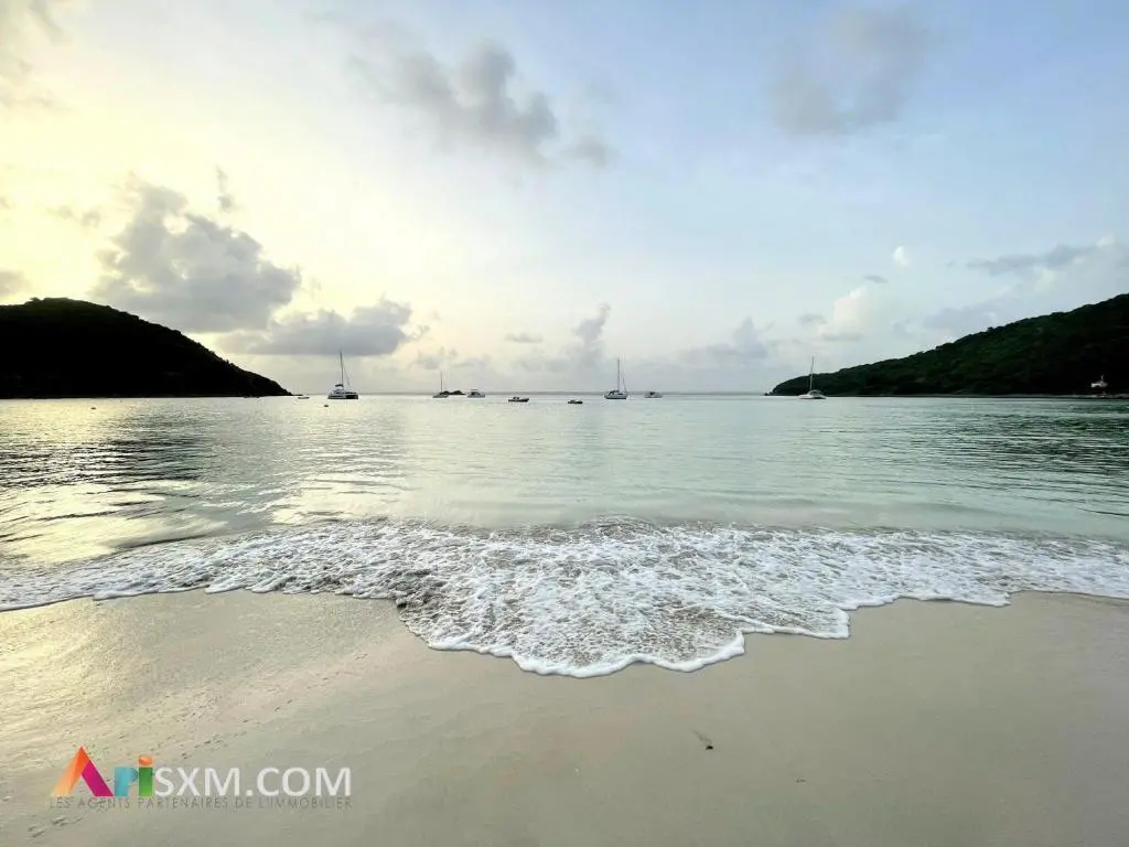 img_id_1497778.webp