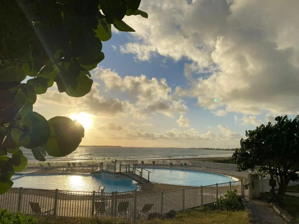 img_id_1498147.webp