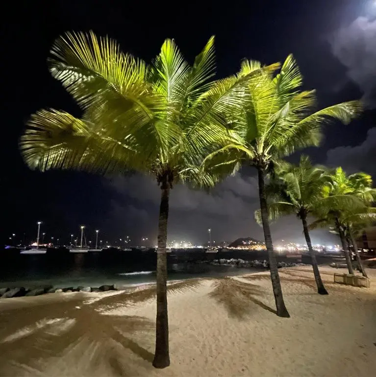 img_id_1511444.webp