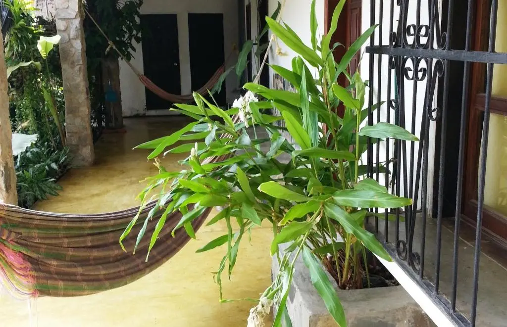 img_id_1559821.webp