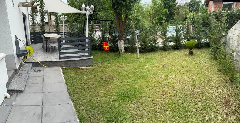 img_id_1743965.webp