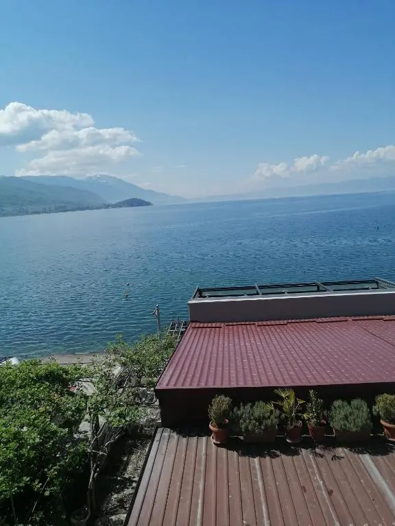 img_id_1763669.webp