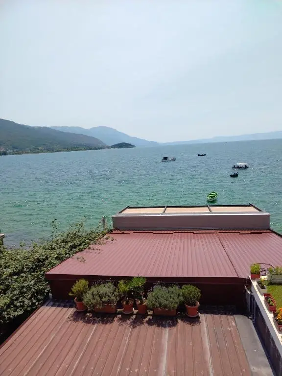 img_id_1763670.webp