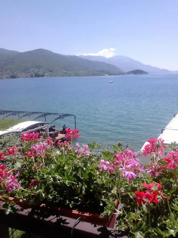 img_id_1763684.webp