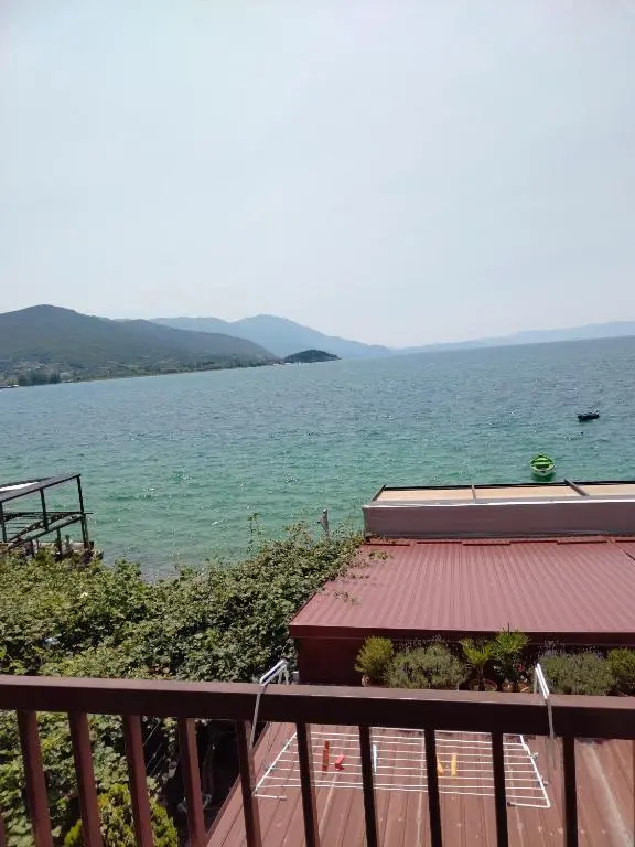 img_id_1763755.webp