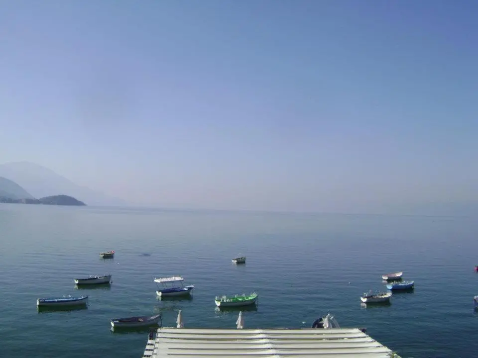 img_id_1763757.webp