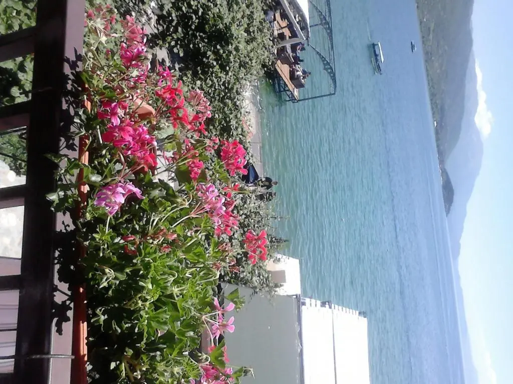 img_id_1763758.webp