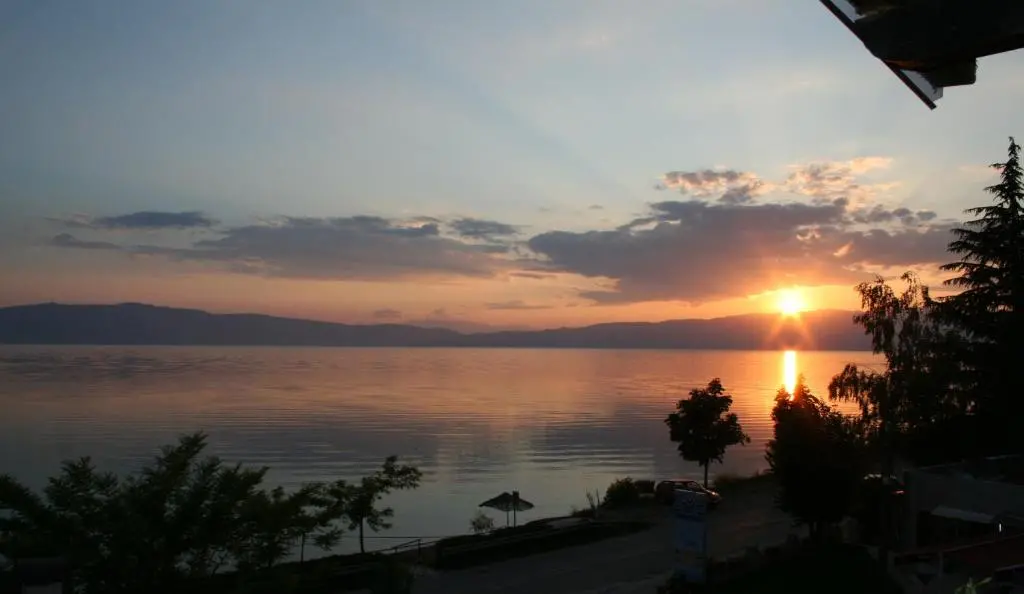 img_id_1765824.webp