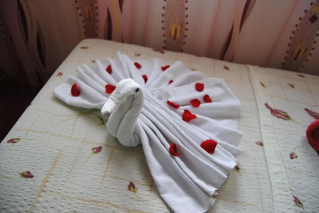 img_id_1766494.webp