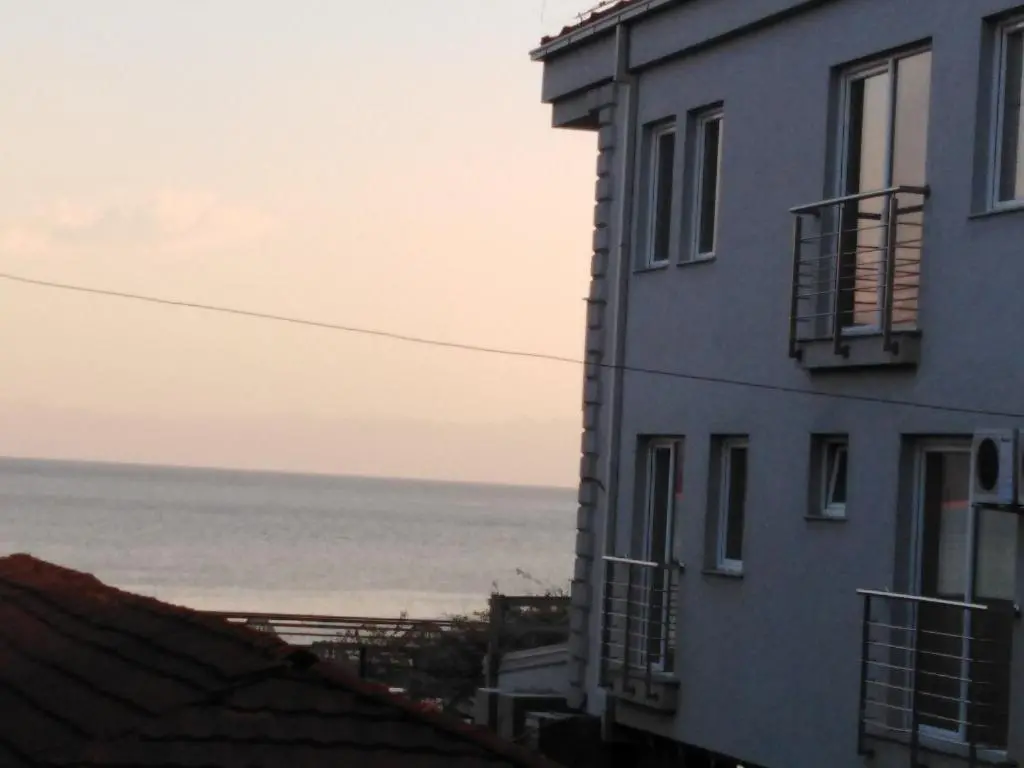 img_id_1777039.webp
