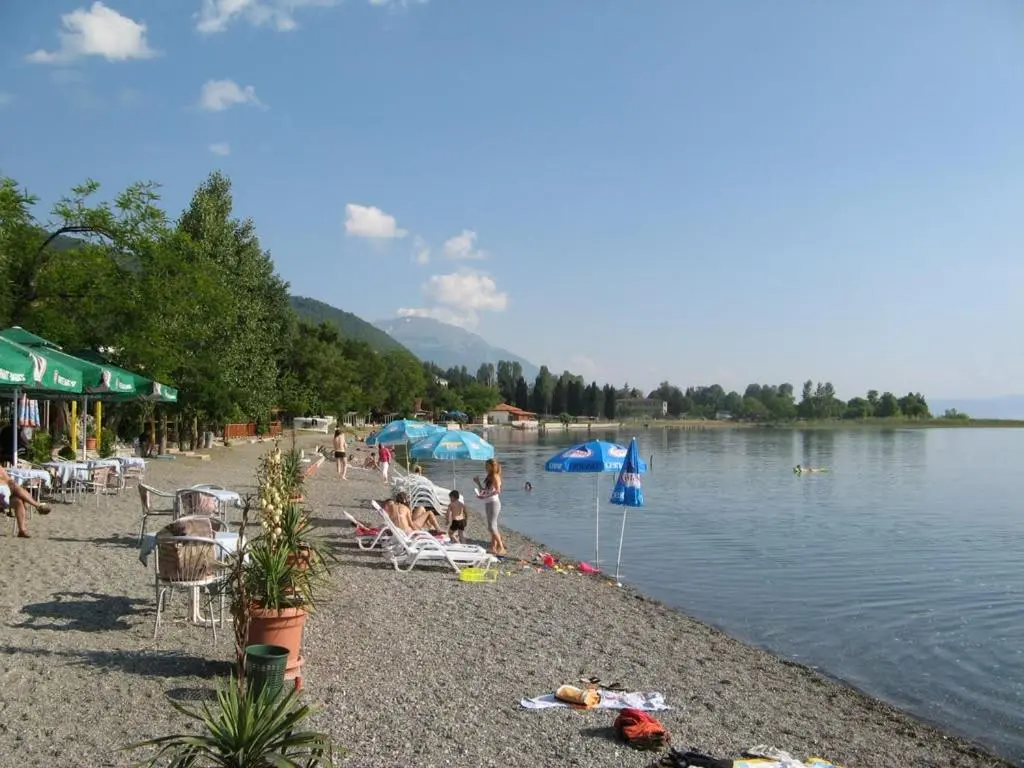 img_id_1784653.webp