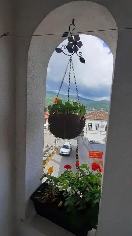 img_id_1791763.webp