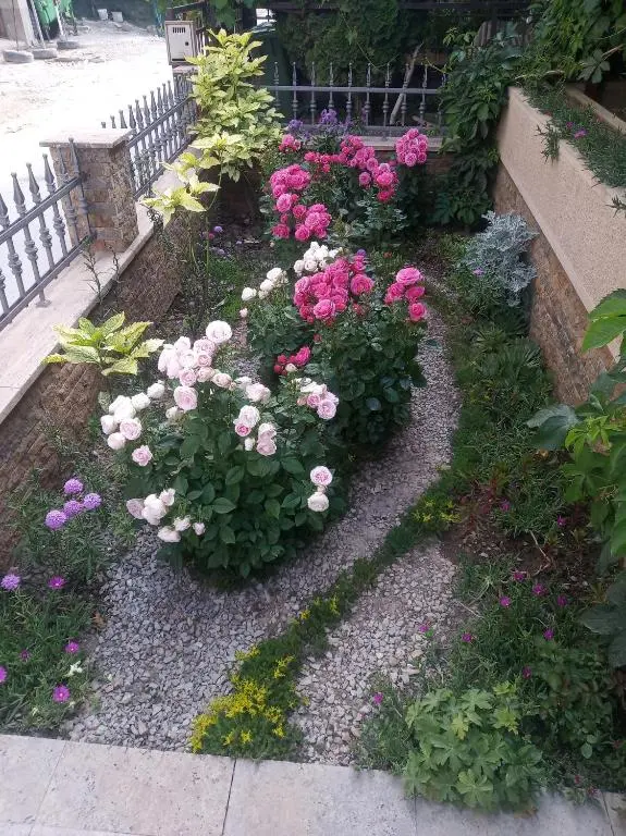 img_id_1797912.webp
