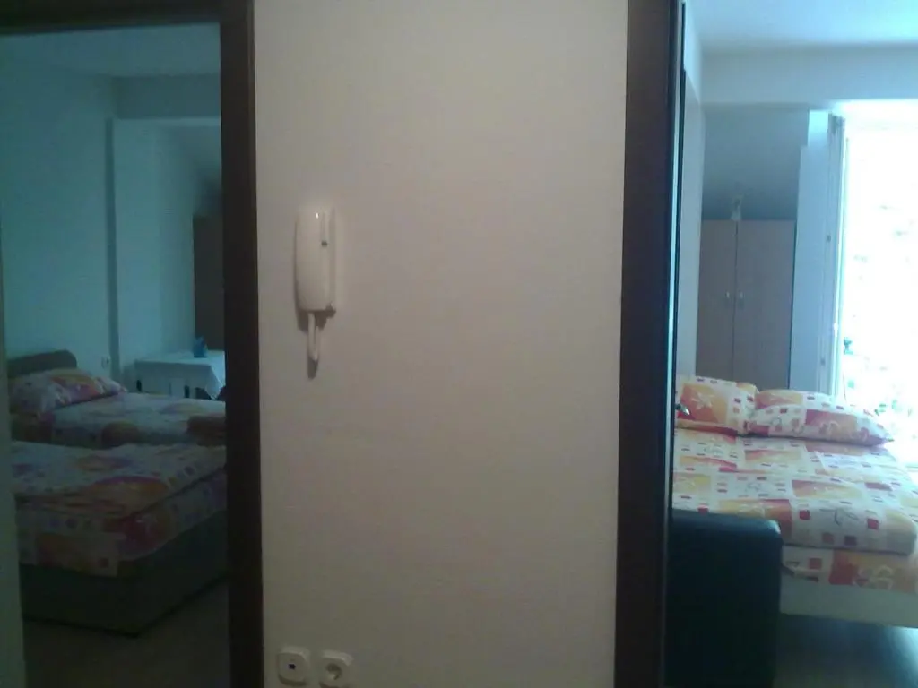 img_id_1799708.webp