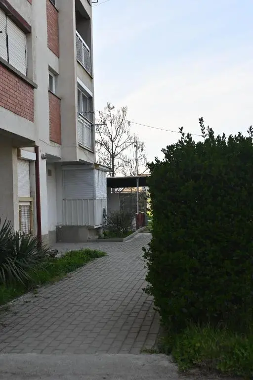 img_id_1802648.webp