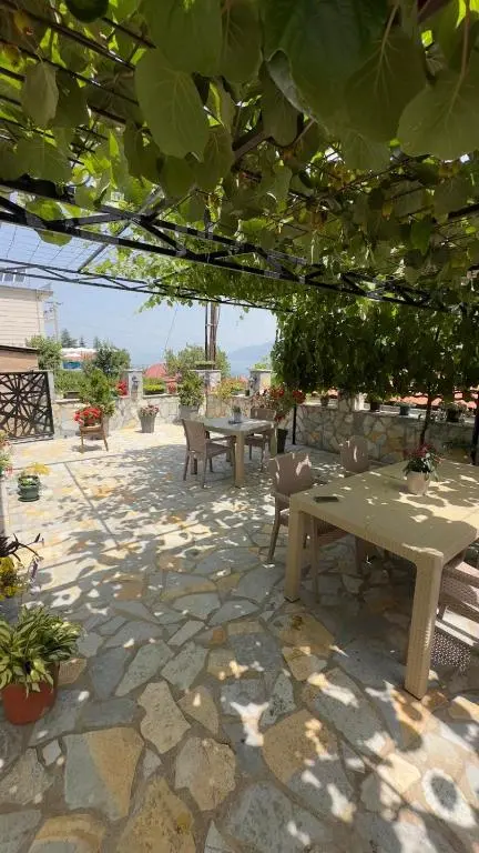 img_id_1816161.webp