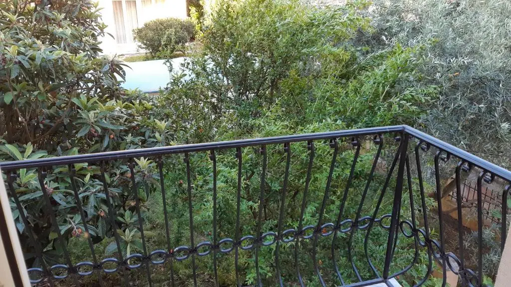 img_id_2196959.webp