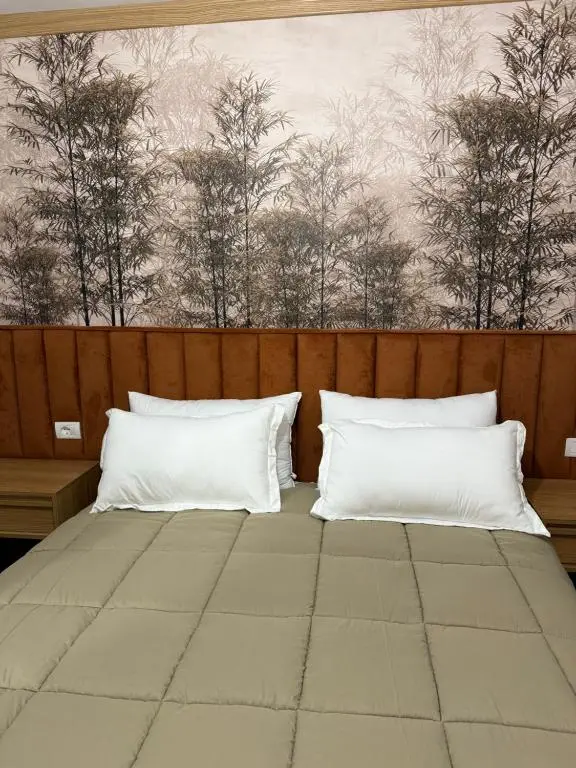 img_id_1817904.webp