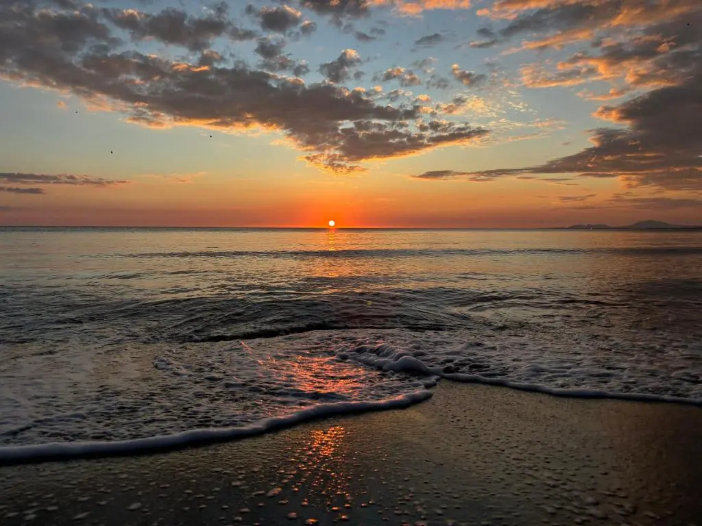 img_id_1824869.webp