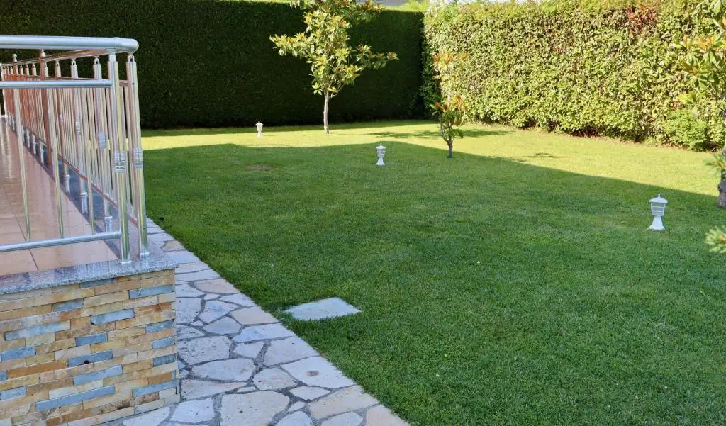 img_id_1826857.webp