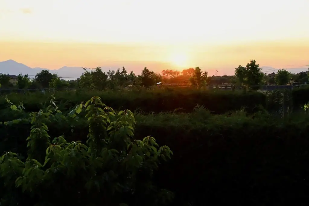 img_id_1826870.webp