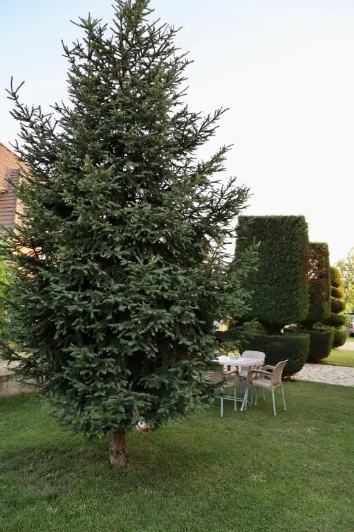 img_id_1826883.webp