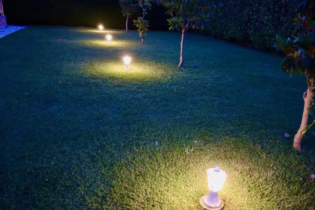 img_id_1826886.webp