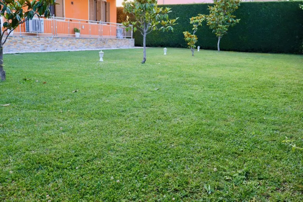 img_id_1826890.webp