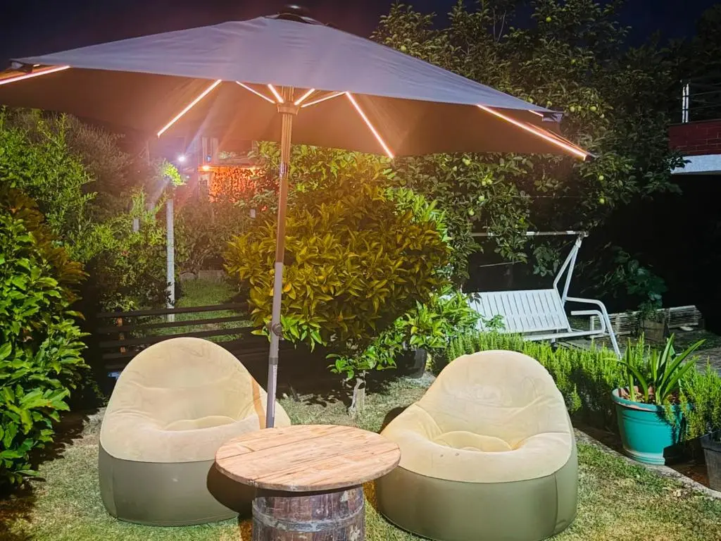 img_id_1831821.webp