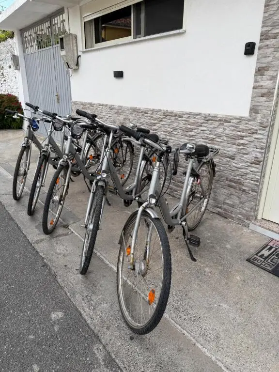 img_id_1833437.webp