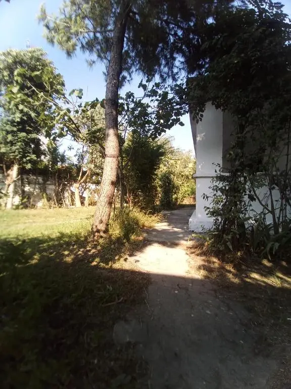 img_id_1836612.webp