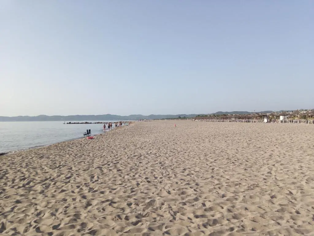 img_id_1836624.webp