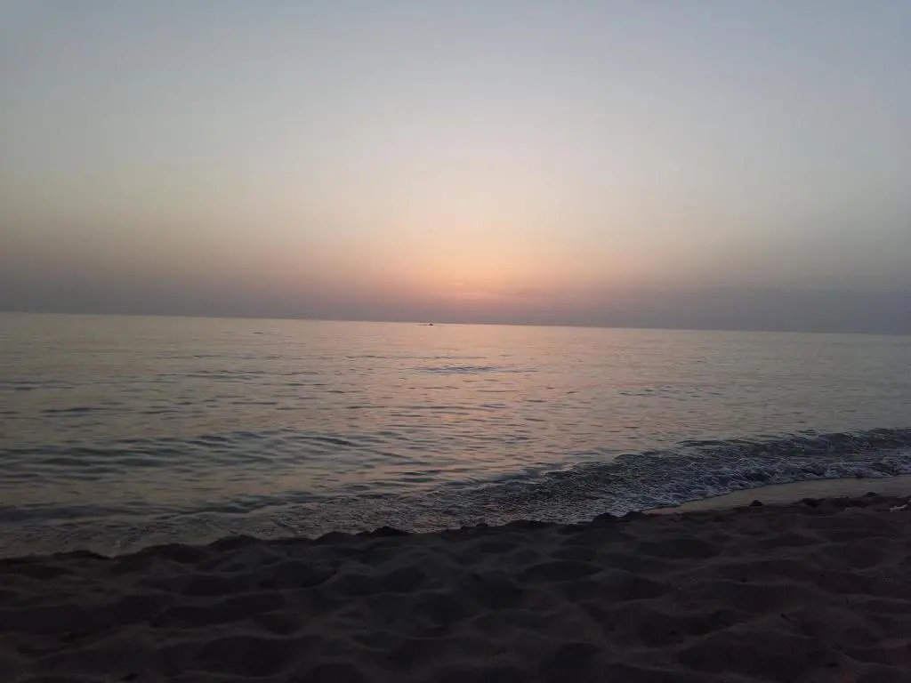 img_id_1836626.webp