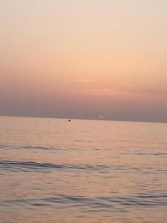 img_id_1836627.webp
