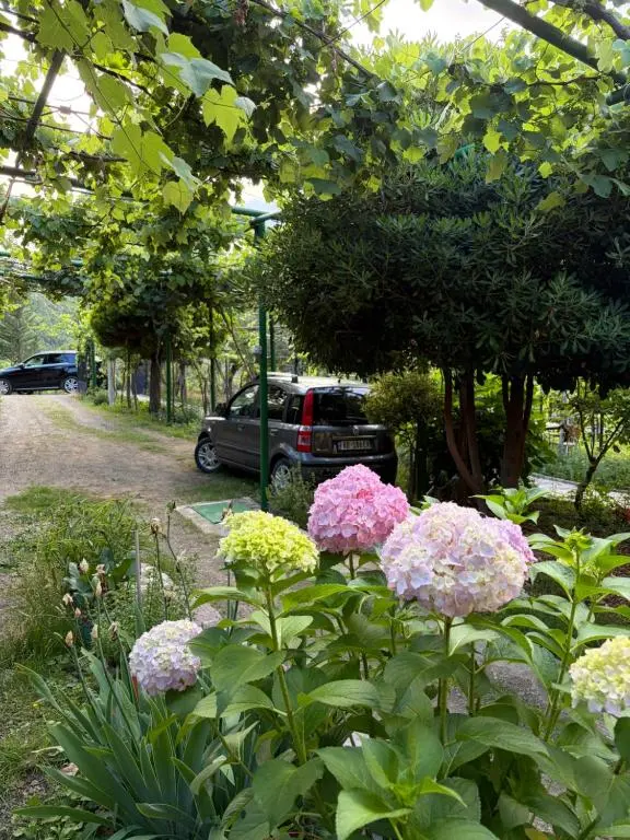 img_id_1839171.webp