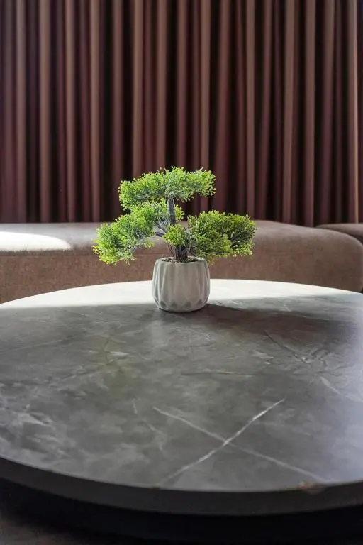 img_id_1841706.webp