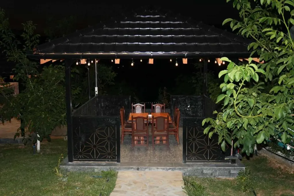img_id_1842995.webp
