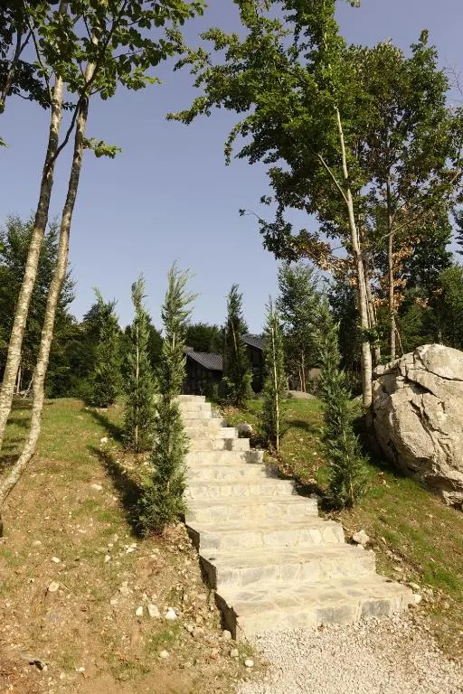 img_id_1844704.webp