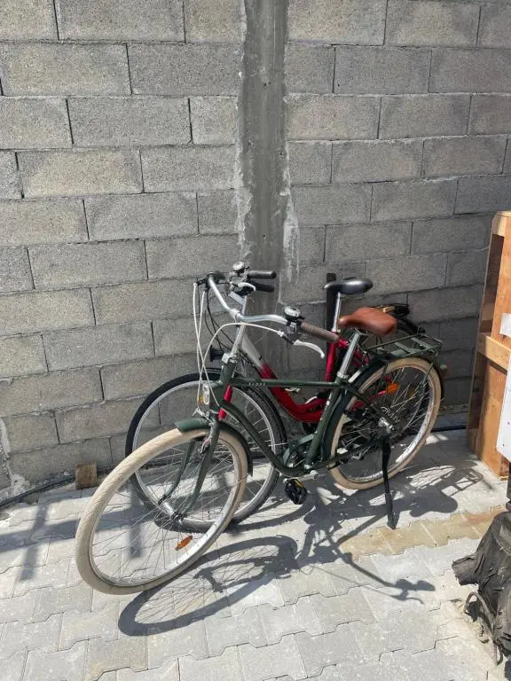 img_id_1845041.webp