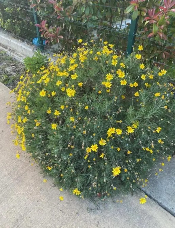 img_id_1845066.webp