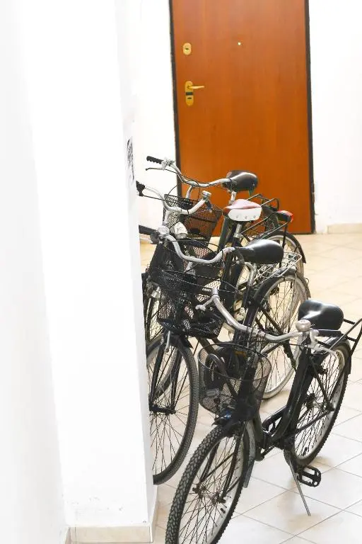 img_id_1847355.webp