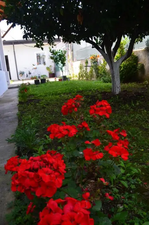 img_id_1849489.webp