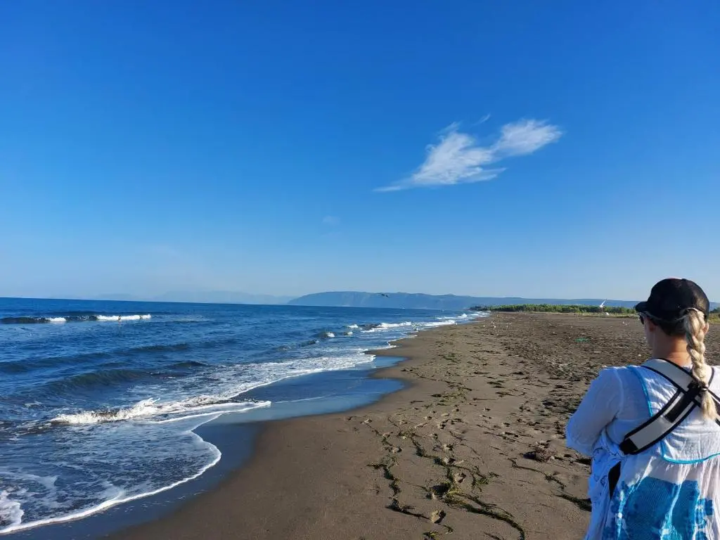 img_id_1849492.webp