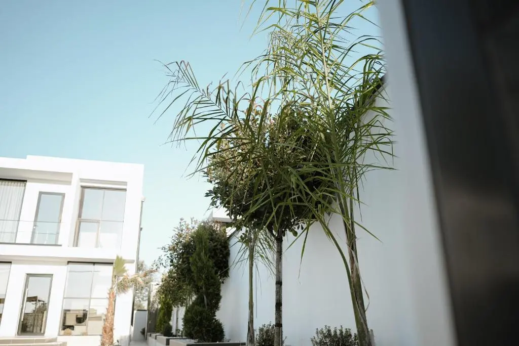 img_id_1852642.webp