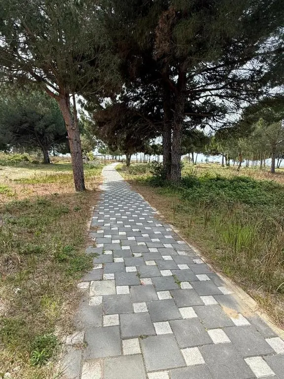 img_id_1858067.webp