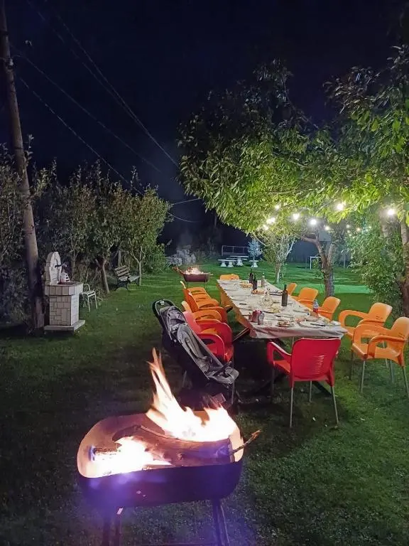 img_id_1862740.webp