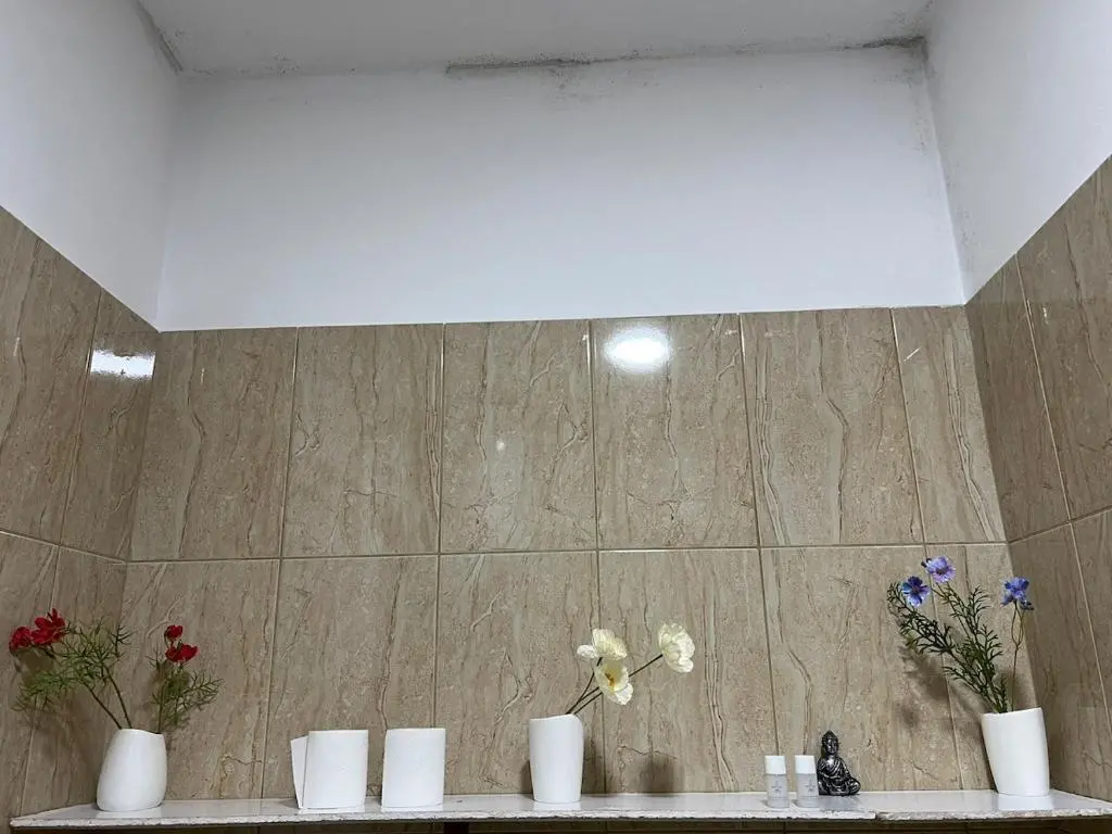 img_id_1864175.webp